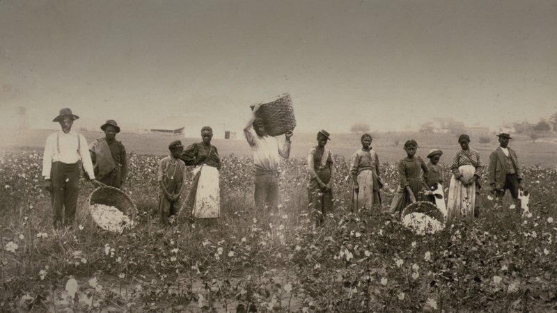 cotton plantations slavery